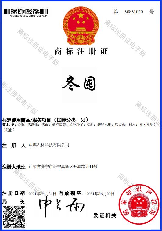 冬囤注册商标