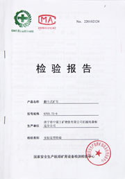 国家级检验报告