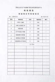 国家级检验报告