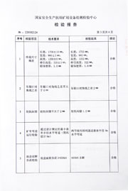 国家级检验报告