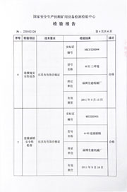 国家级检验报告