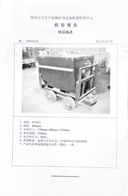 国家级检验报告
