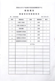 国家级检验报告