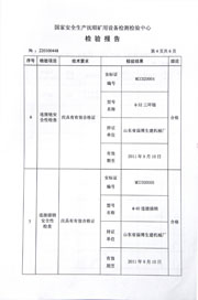 国家级检验报告