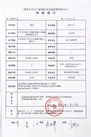 国家级检验报告