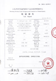 省级检验报告