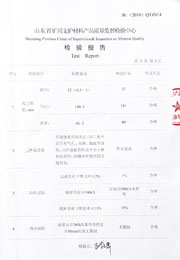 省级检验报告
