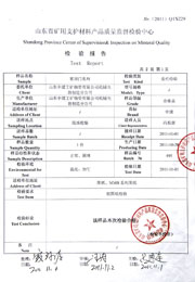 省级检验报告