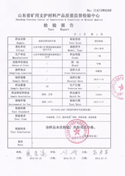 省级检验报告