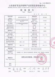 省级检验报告