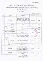 省级检验报告