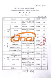 市级检验报告