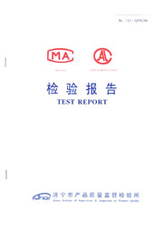 市级检验报告