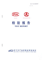 市级检验报告