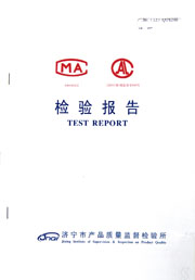 市级检验报告